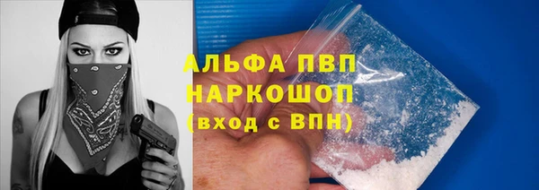 хмурый Алзамай